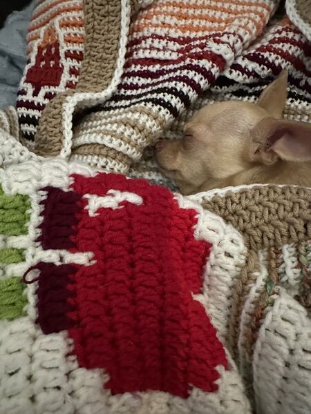 Fichier:Couverture forêt crochet mosaïque détail.jpg