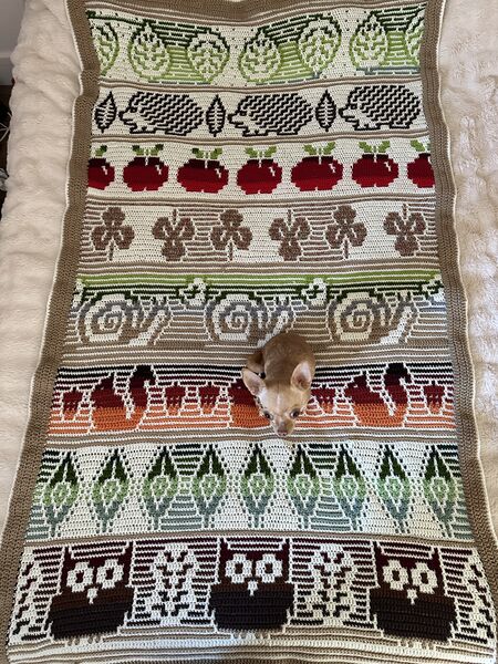 Fichier:Couverture de la forêt crochet mosaïque.jpeg