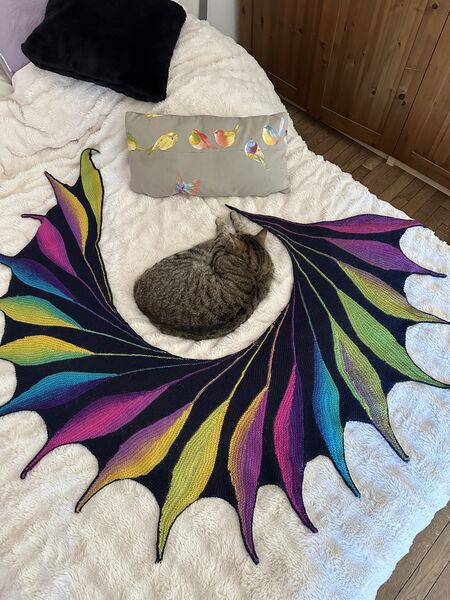 Fichier:Châle marine plumes multicolores.jpg