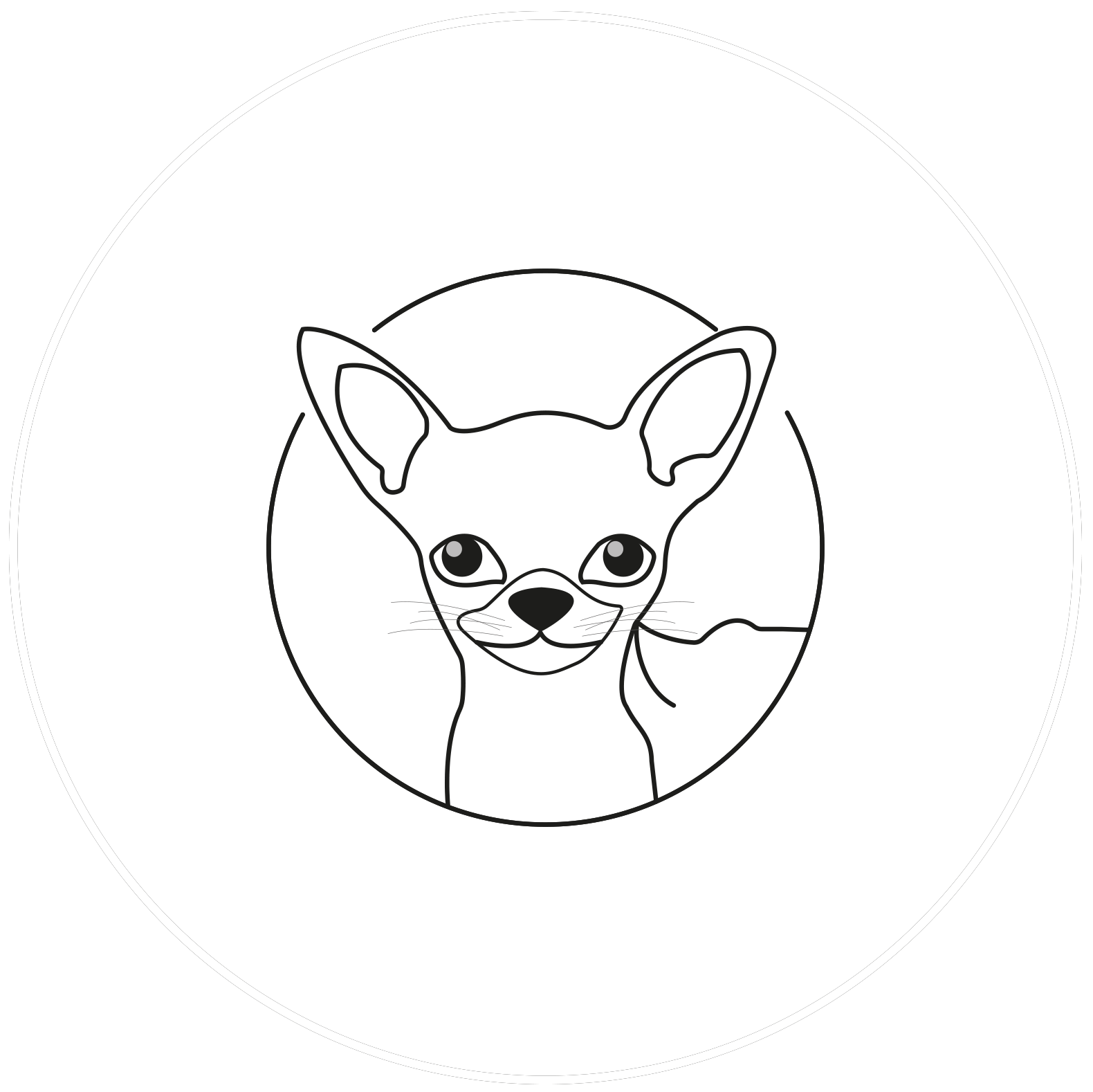 Kolleggram.fr
