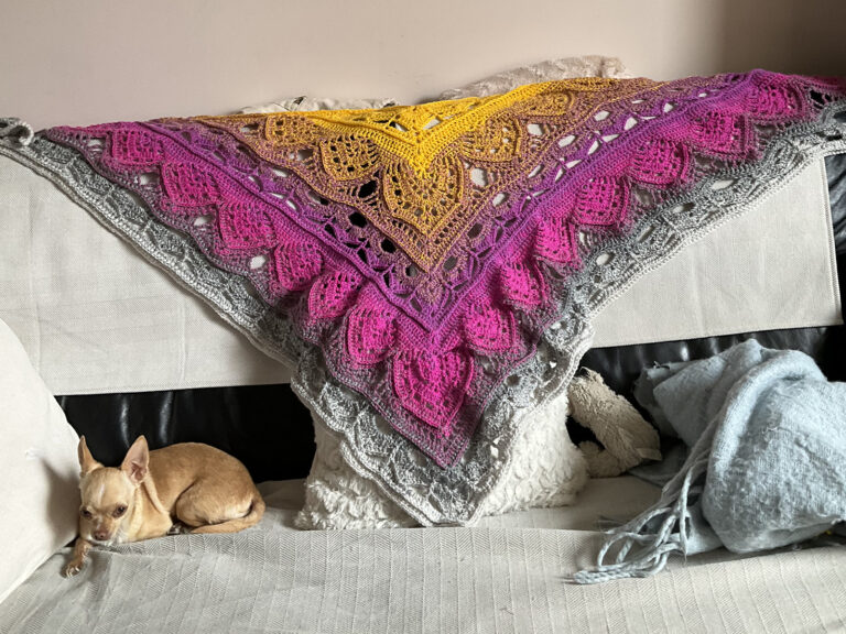 Lire la suite à propos de l’article Châle Ceylon Tea Rose